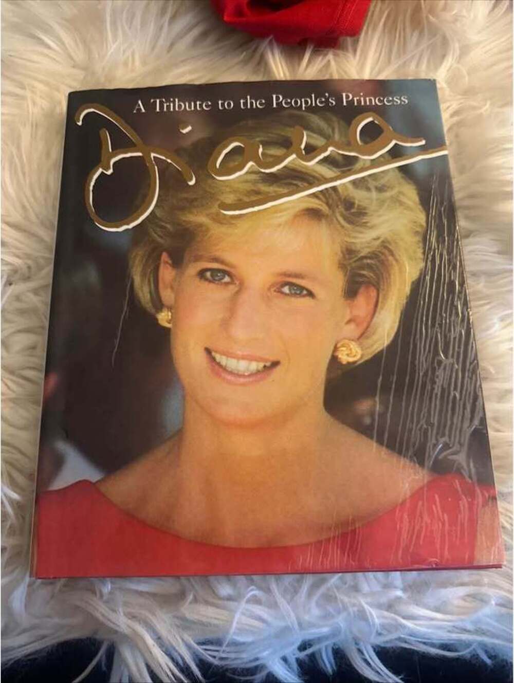 Diana: A Tribute to the People's Princess Book